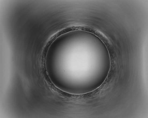 X0000115640775200911171421