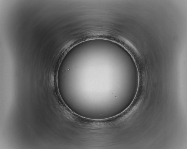 X0000115640777200911171421