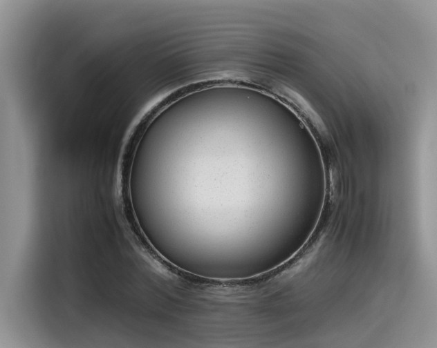 X0000115640780200911171421