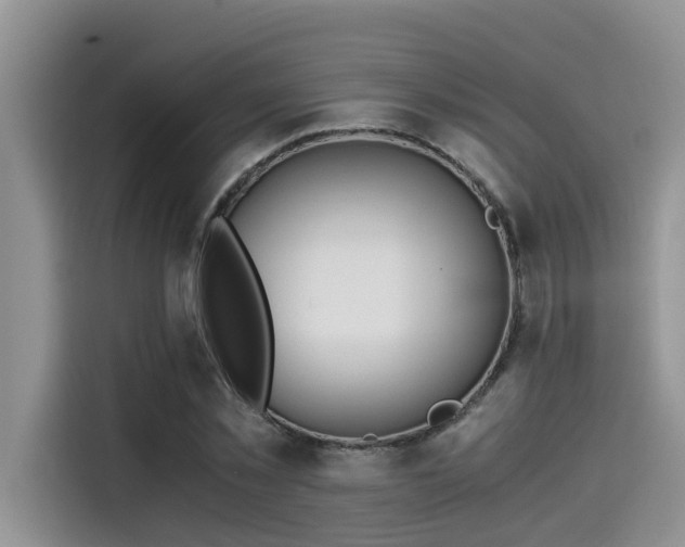 X0000115640781200911171421