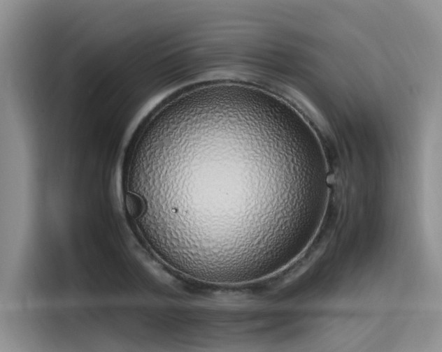 X0000115640788200911171421