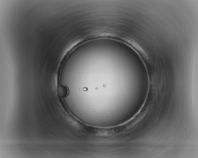 X0000115640790200911171421