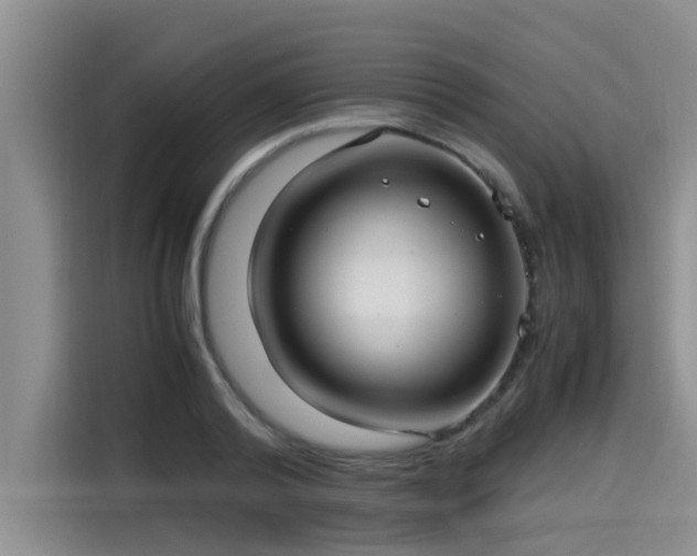 X0000115640792200911171421