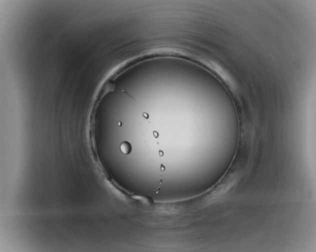 X0000115640799200911171421