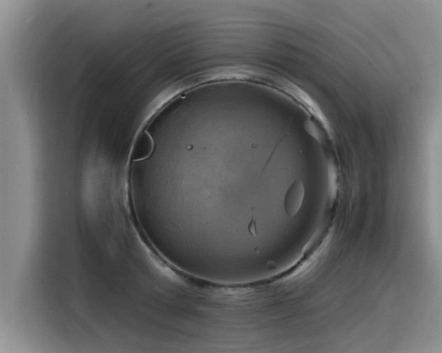 X0000115640802200911171421