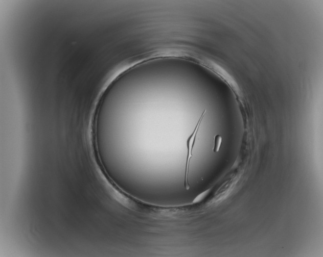 X0000115640803200911171421