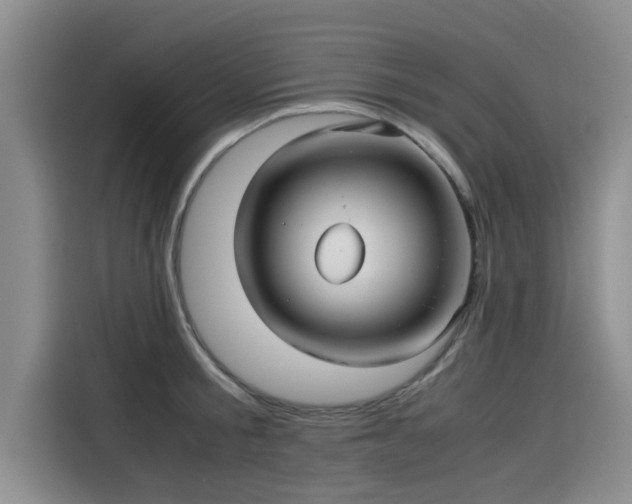 X0000115640805200911171421