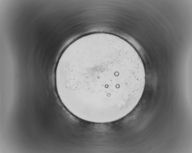 X0000115640807200911171421