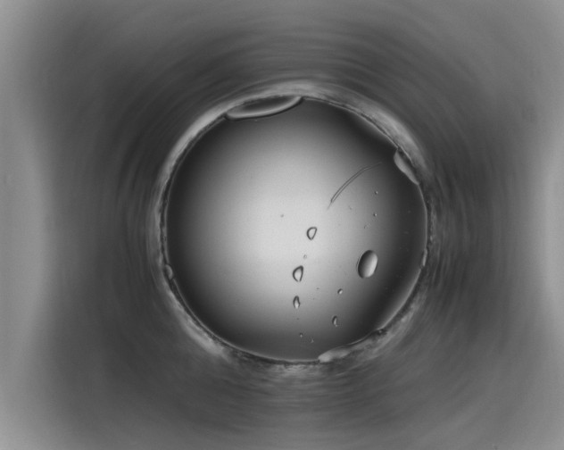 X0000115640808200911171421