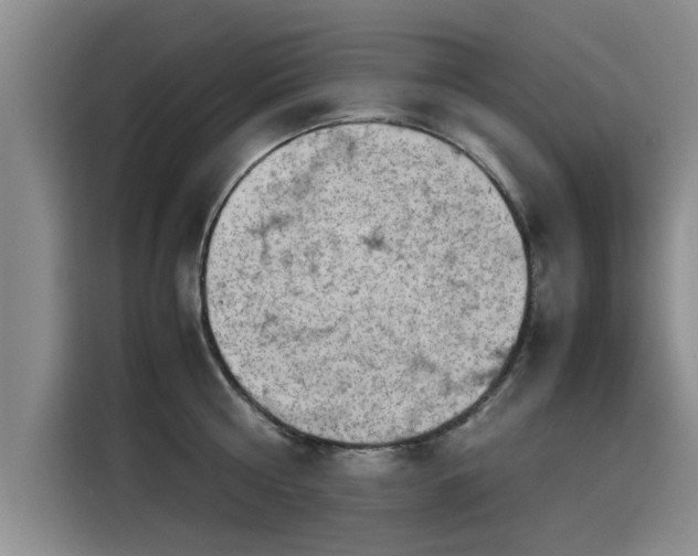 X0000115640810200911171421