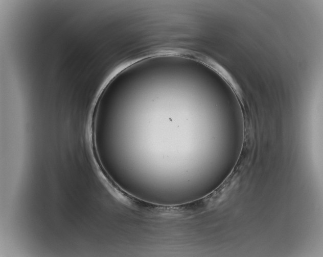 X0000115640811200911171421