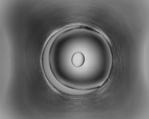 X0000115640813200911171421