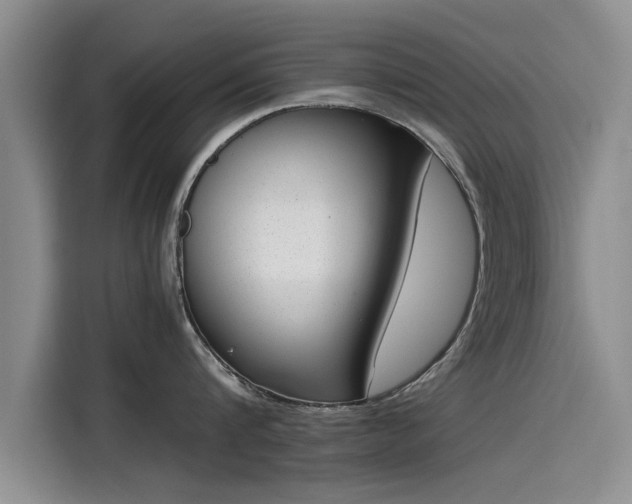 X0000115640816200911171421