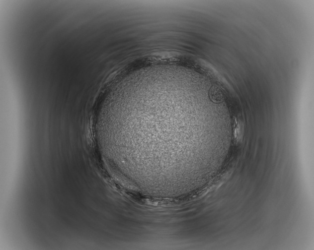 X0000115640819200911171420