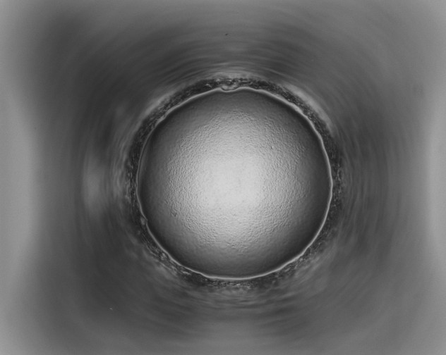 X0000115640823200911171420