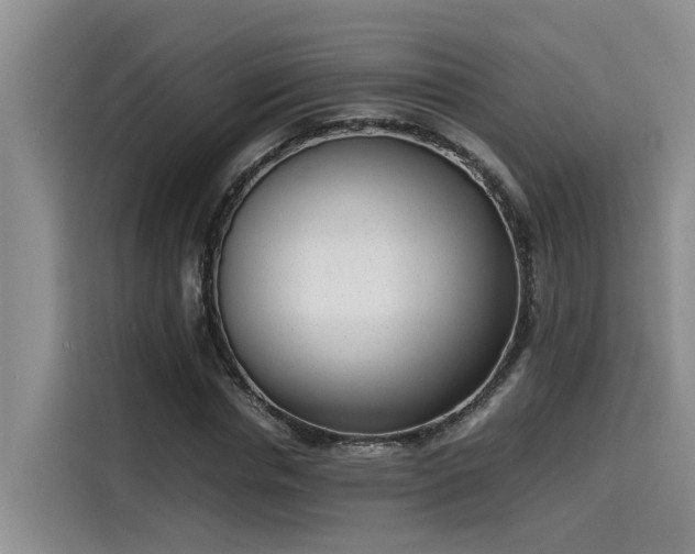 X0000115640826200911171420