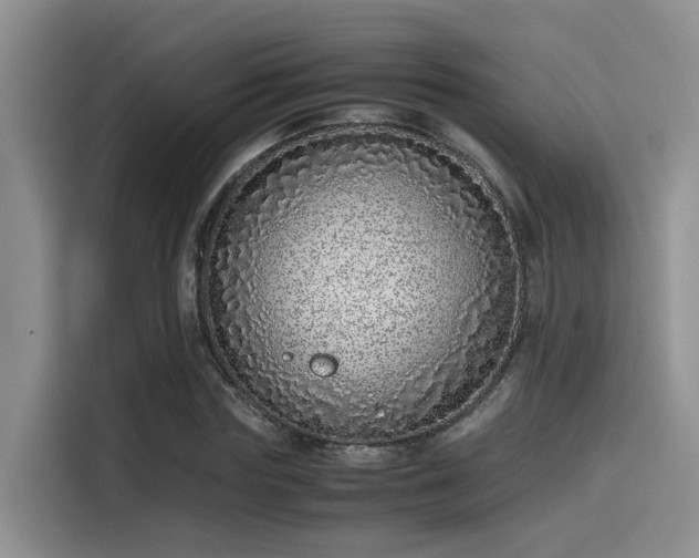 X0000115640827200911171420