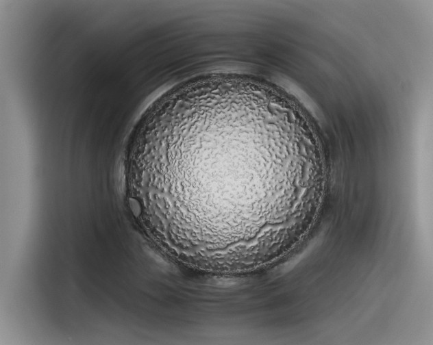 X0000115640829200911171420