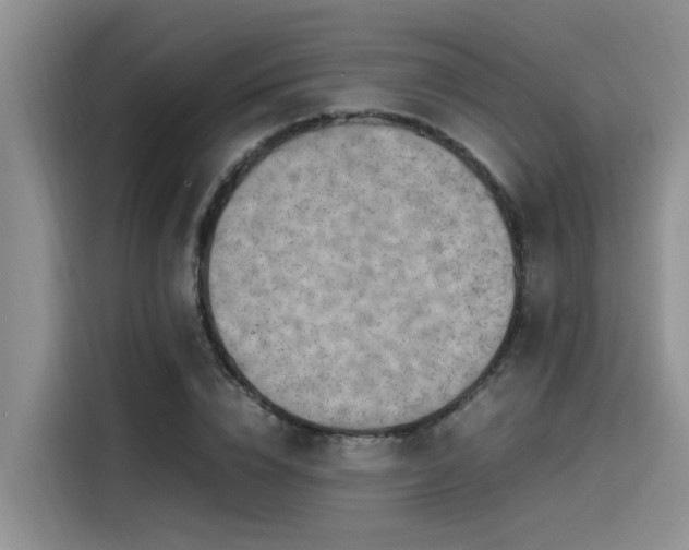 X0000115640832200911171420