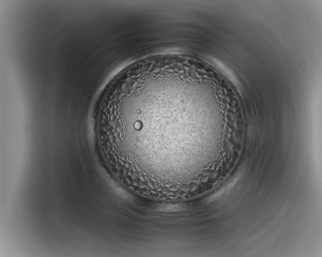 X0000115640835200911171420