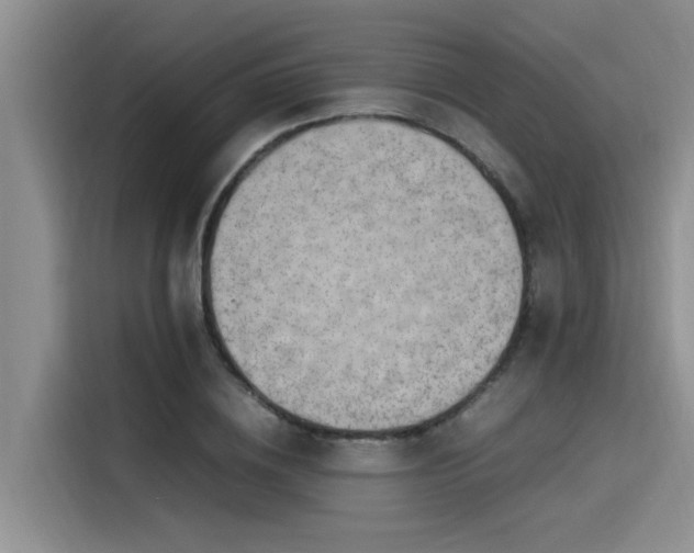 X0000115640836200911171420