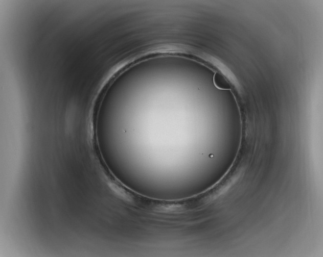 X0000115640837200911171420