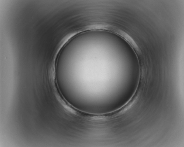 X0000115640844200911171420