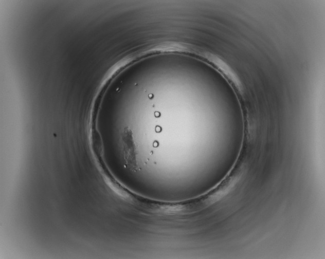 X0000115640845200911171421