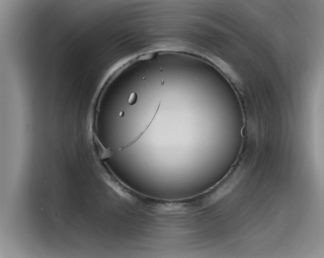 X0000115640846200911171421