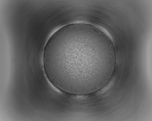 X0000115640847200911171421