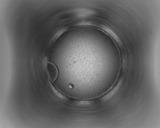 X0000115640849200911171421