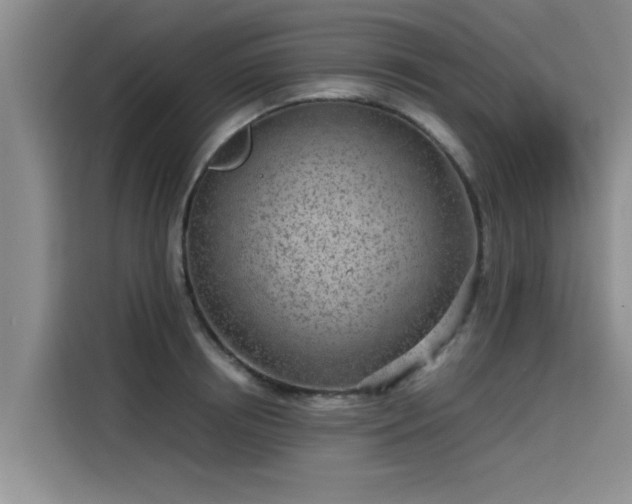 X0000115640850200911171421