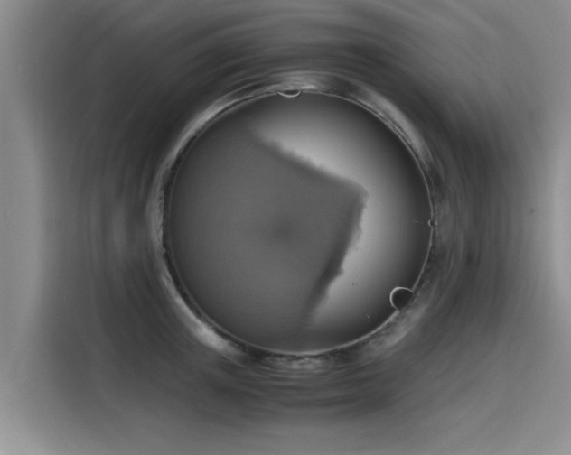 X0000115640851200911171421