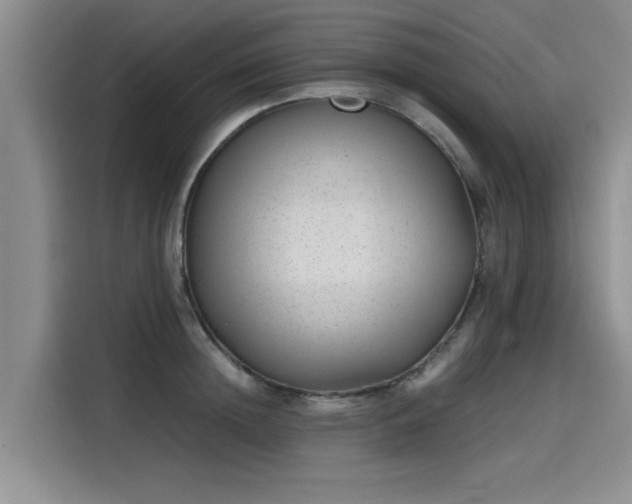 X0000115640852200911171421