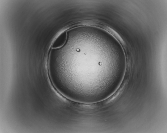 X0000115640855200911171421