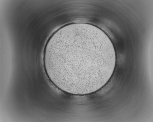 X0000115640856200911171421