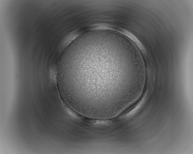 X0000115640857200911171421