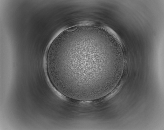 X0000115640859200911171421