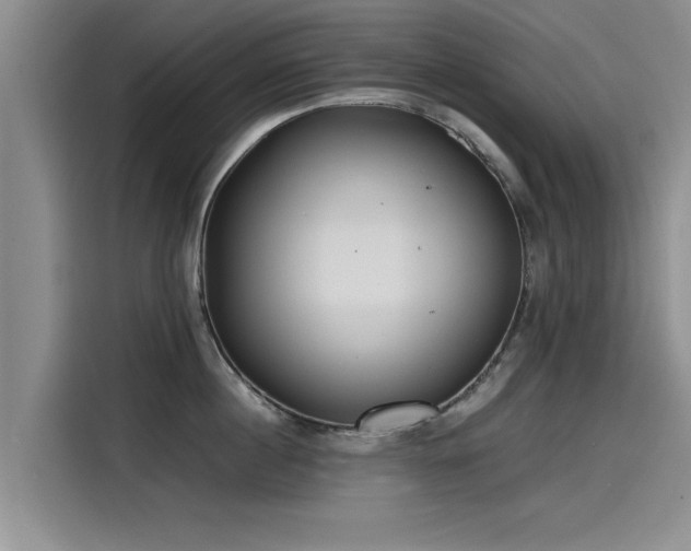 X0000115640860200911171421