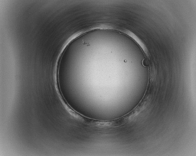 X0000115640861200911171421