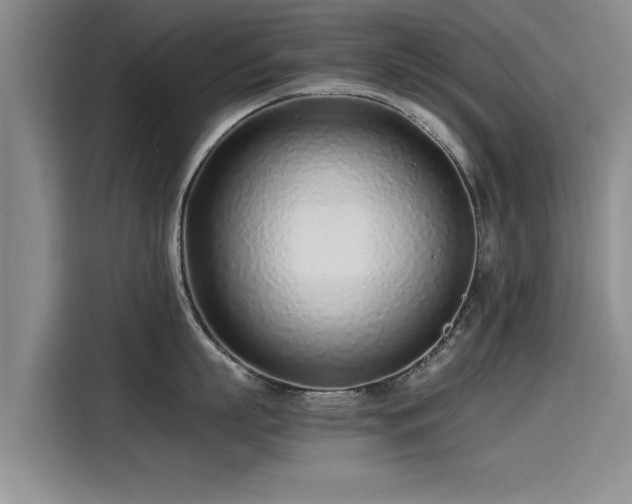 X0000115640863200911171421