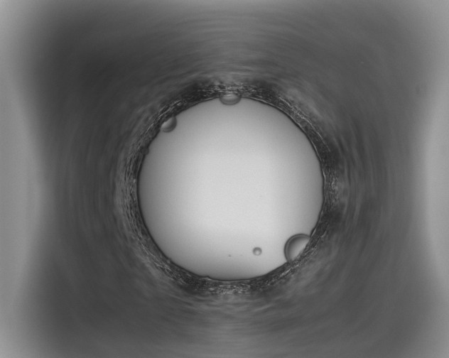 X0000115640865200911171420