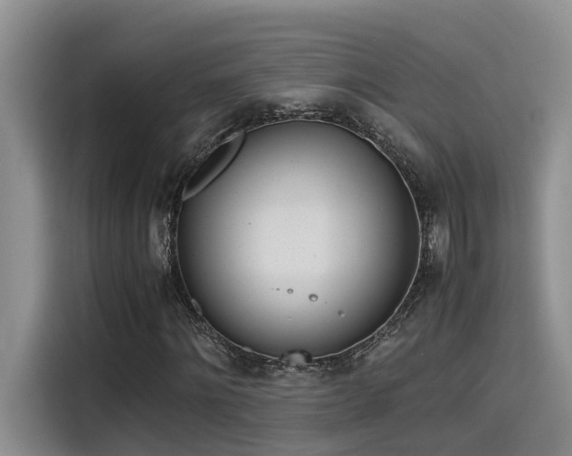 X0000115640868200911171420