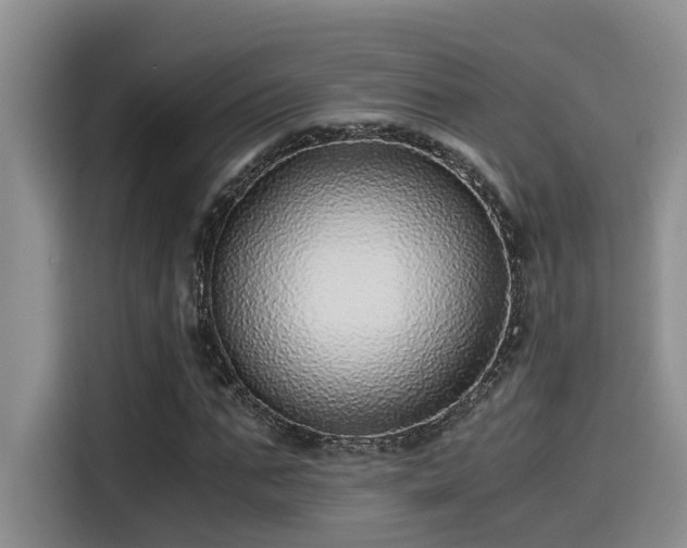 X0000115640871200911171420