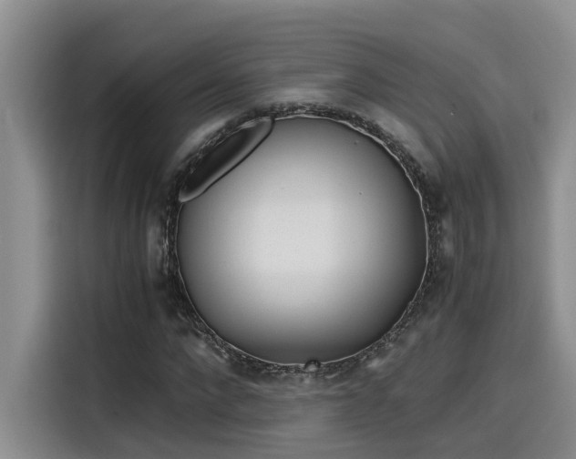 X0000115640872200911171420