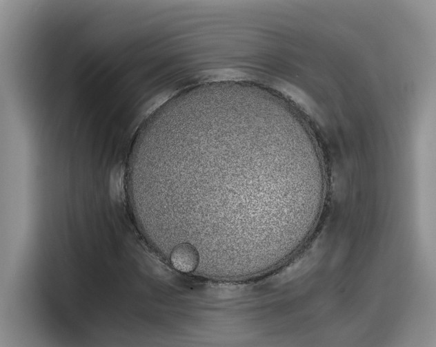 X0000115640873200911171420