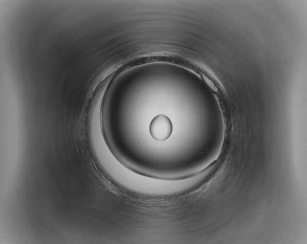 X0000115640874200911171420