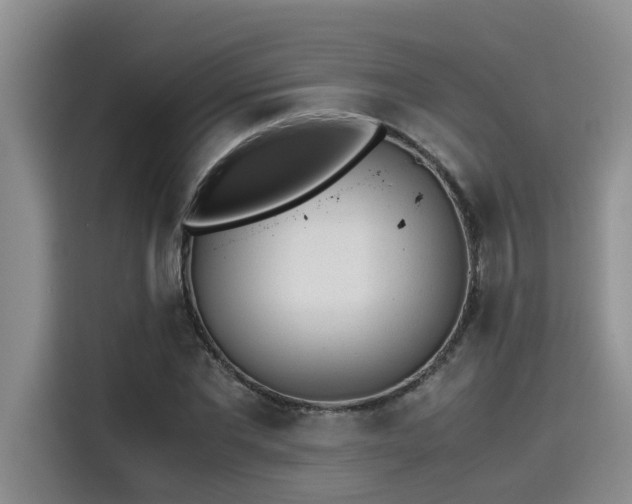 X0000115640877200911171420