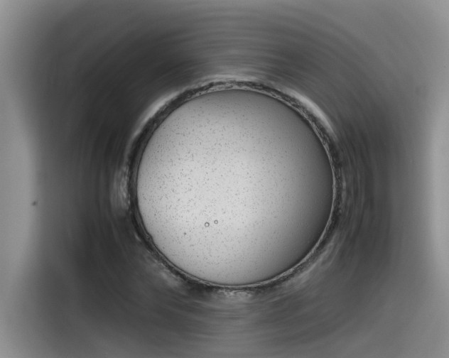 X0000115640878200911171420