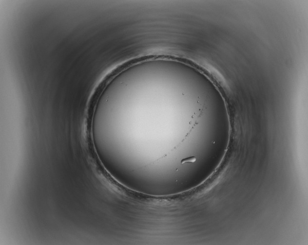 X0000115640880200911171420